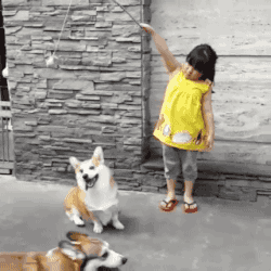 72390cee853902ae076dc16ba357a9f4_1500528617_9944.gif